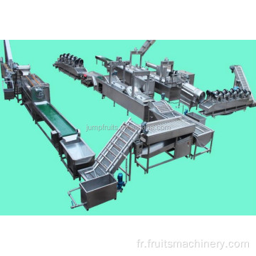 Machine de l&#39;usine de traitement des puces de banane
